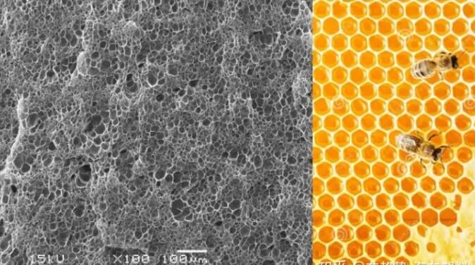 epp發泡聚(ju)丙烯的(de)顯微結(jie)構，可以(yǐ)看到這(zhe)是種連(lian)續閉孔(kong)結構，類(lèi)似于蜂(feng)窩